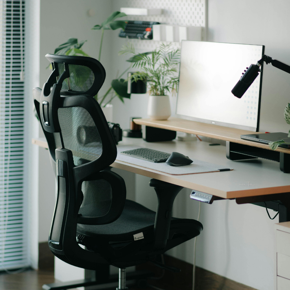 Office & Productivity