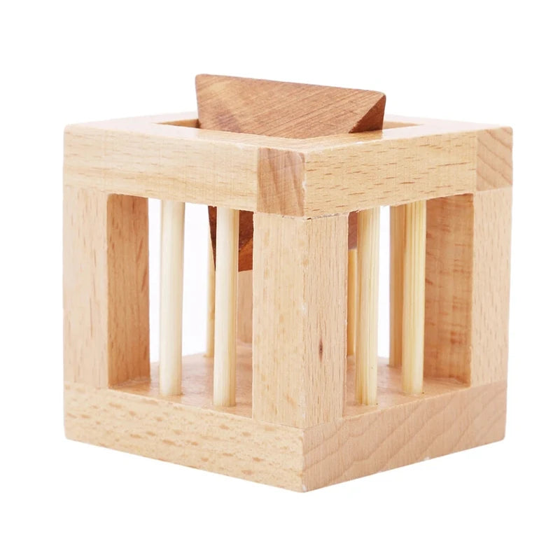 Wooden Brain Teaser Puzzle