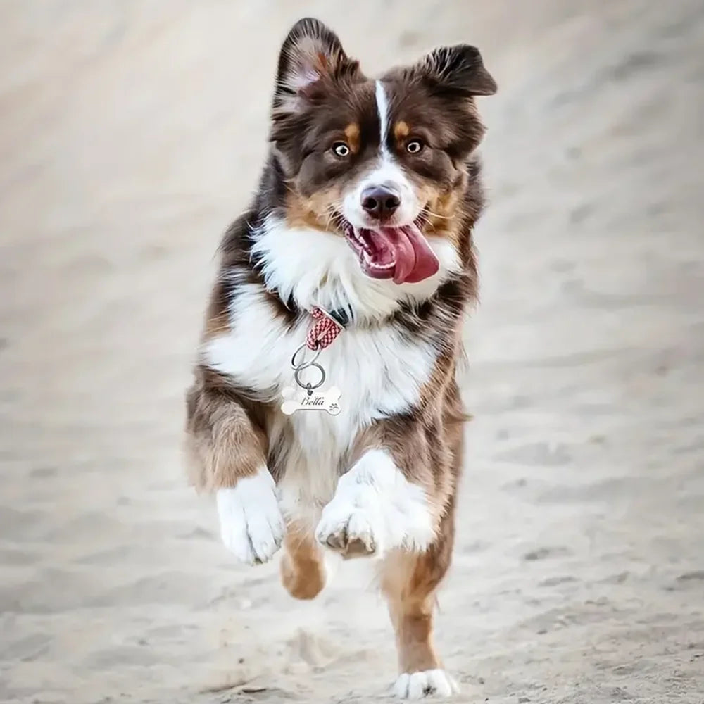 Customized Personalized Pet ID Tag Keychain